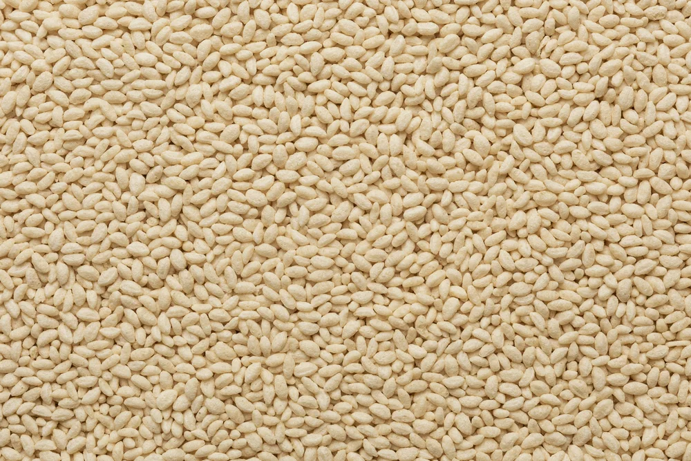 Arroz