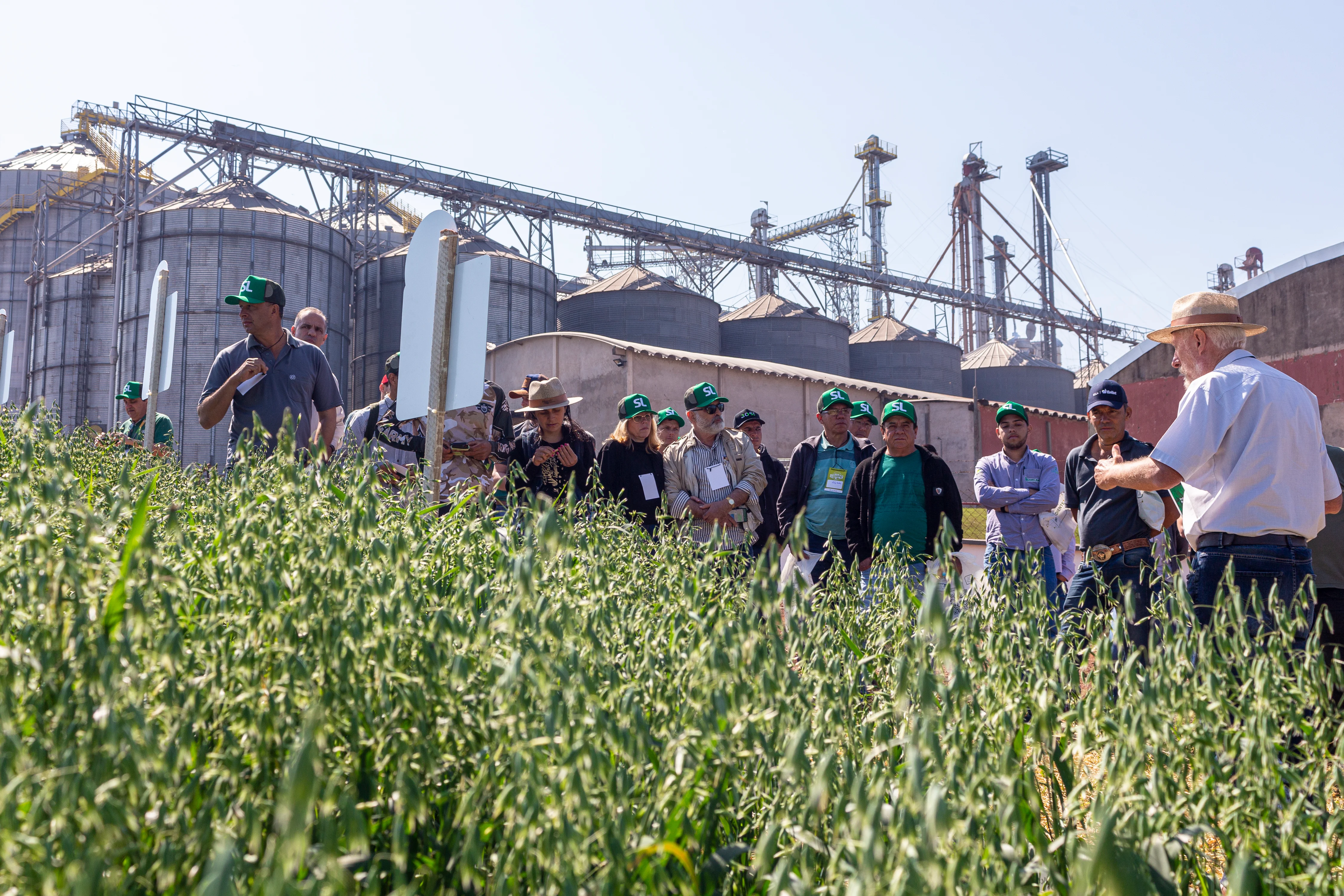 El Día de Campo reúne a más de 100 productores de Avena Blanca